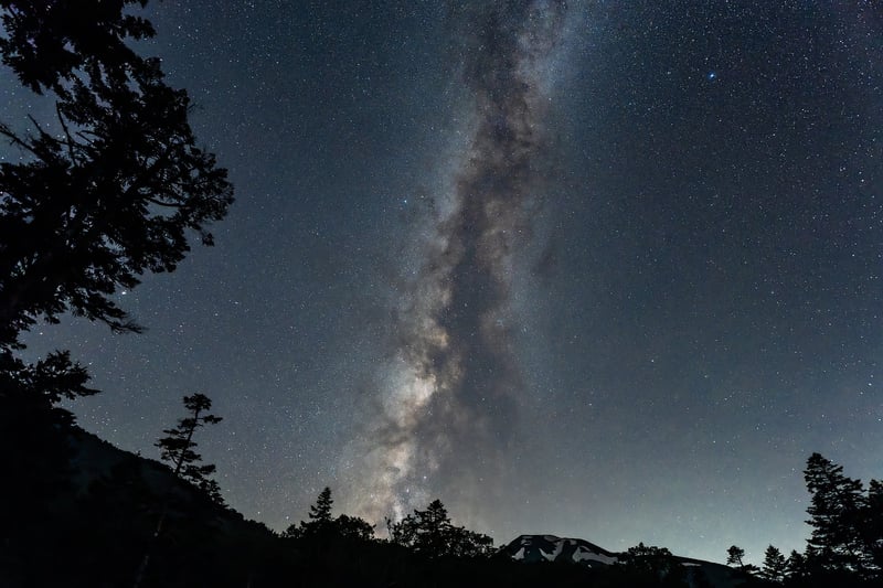 Garden Night Sky