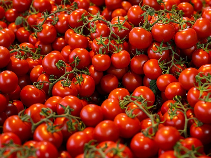 Tomatoes